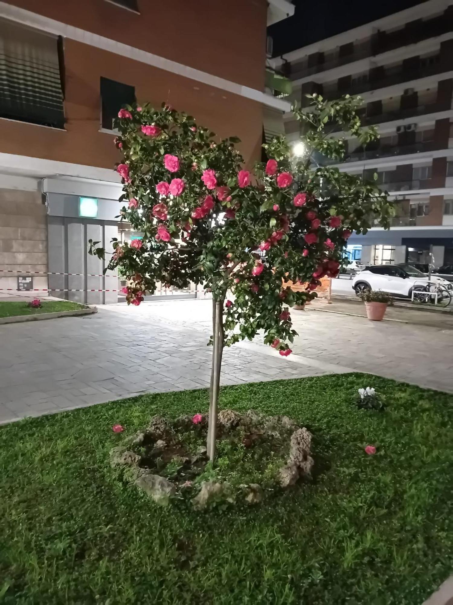 Olimpica Relais Guest House Rom Exterior foto