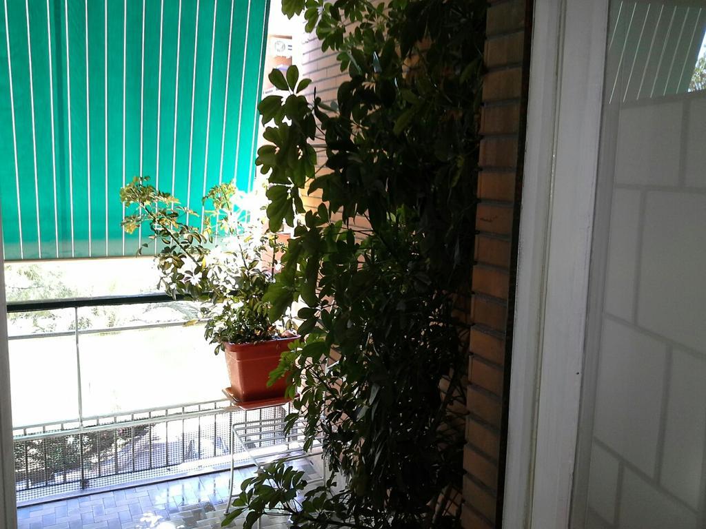 Olimpica Relais Guest House Rom Exterior foto